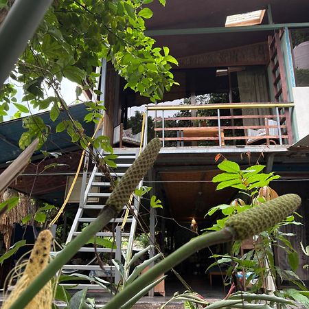 Organico Punta Riel Hotell Cahuita Exteriör bild