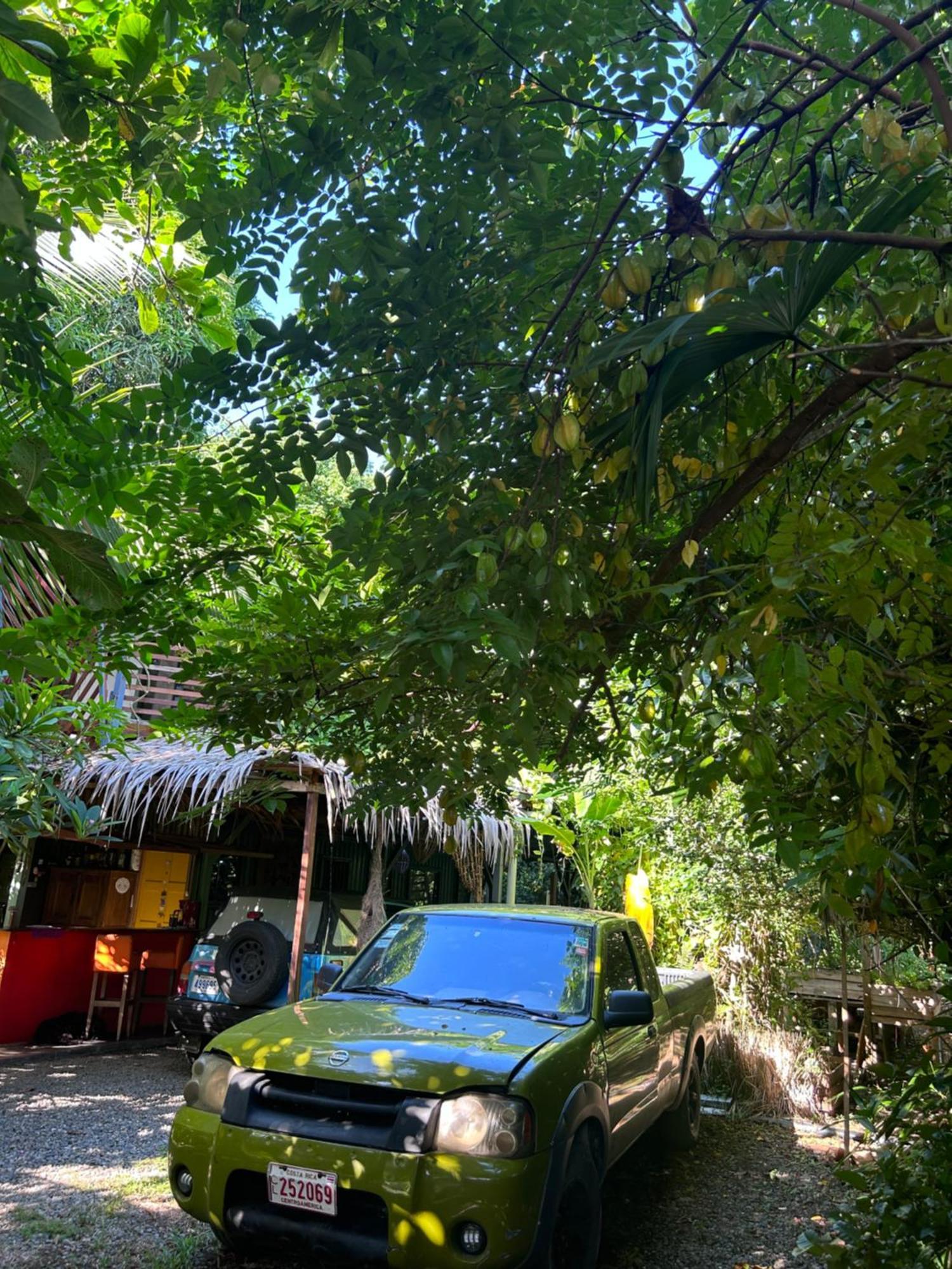 Organico Punta Riel Hotell Cahuita Exteriör bild