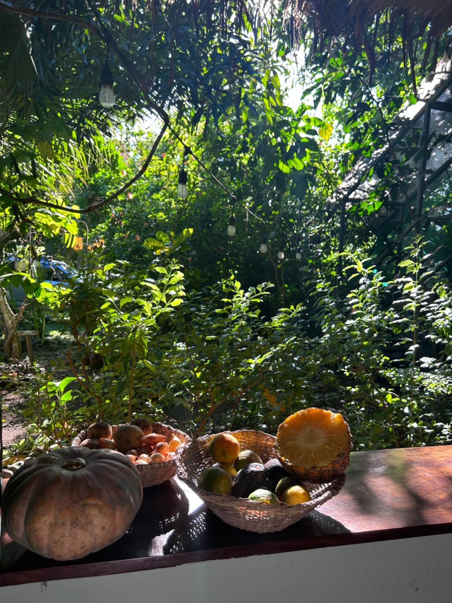 Organico Punta Riel Hotell Cahuita Exteriör bild