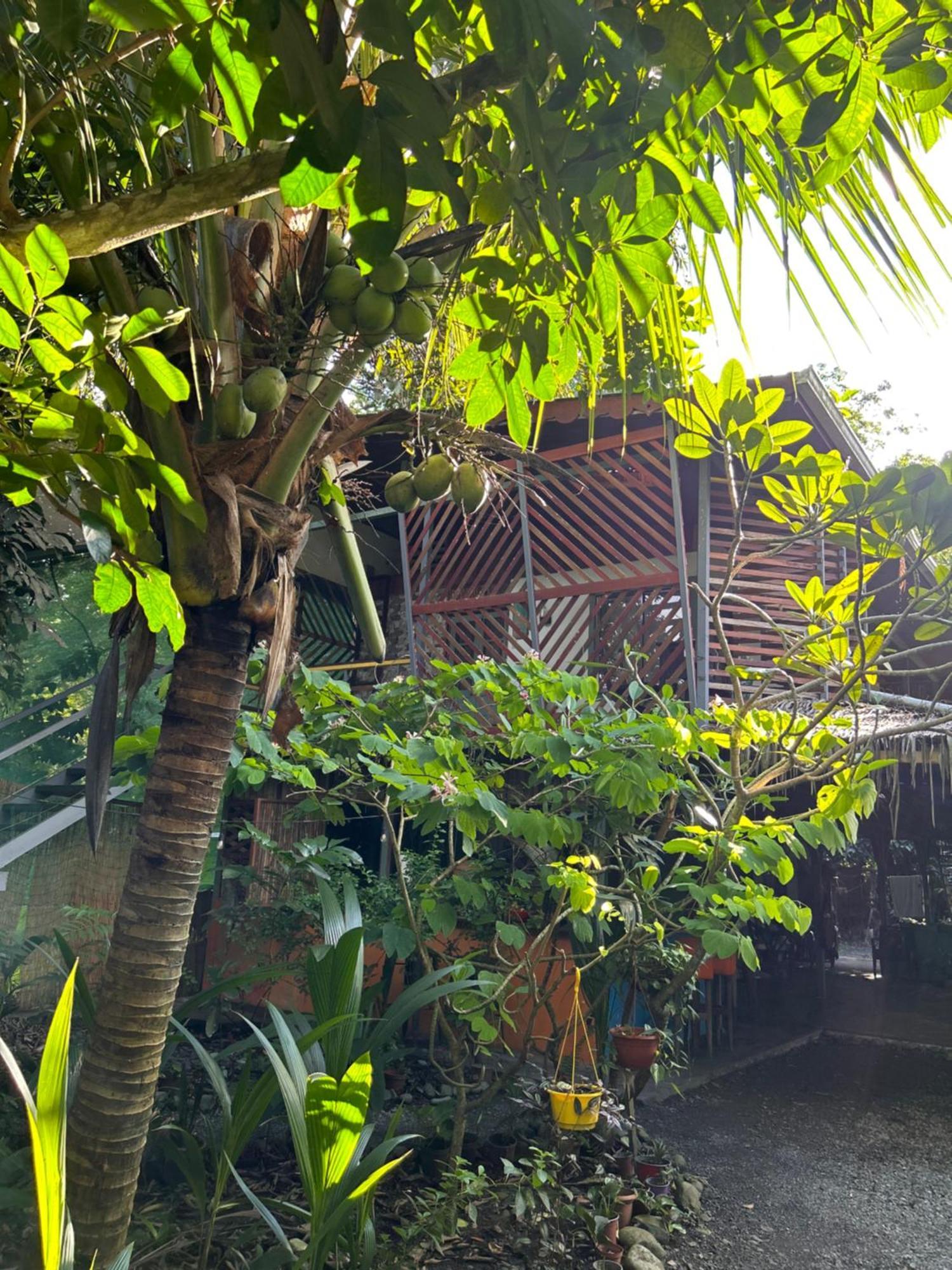 Organico Punta Riel Hotell Cahuita Exteriör bild