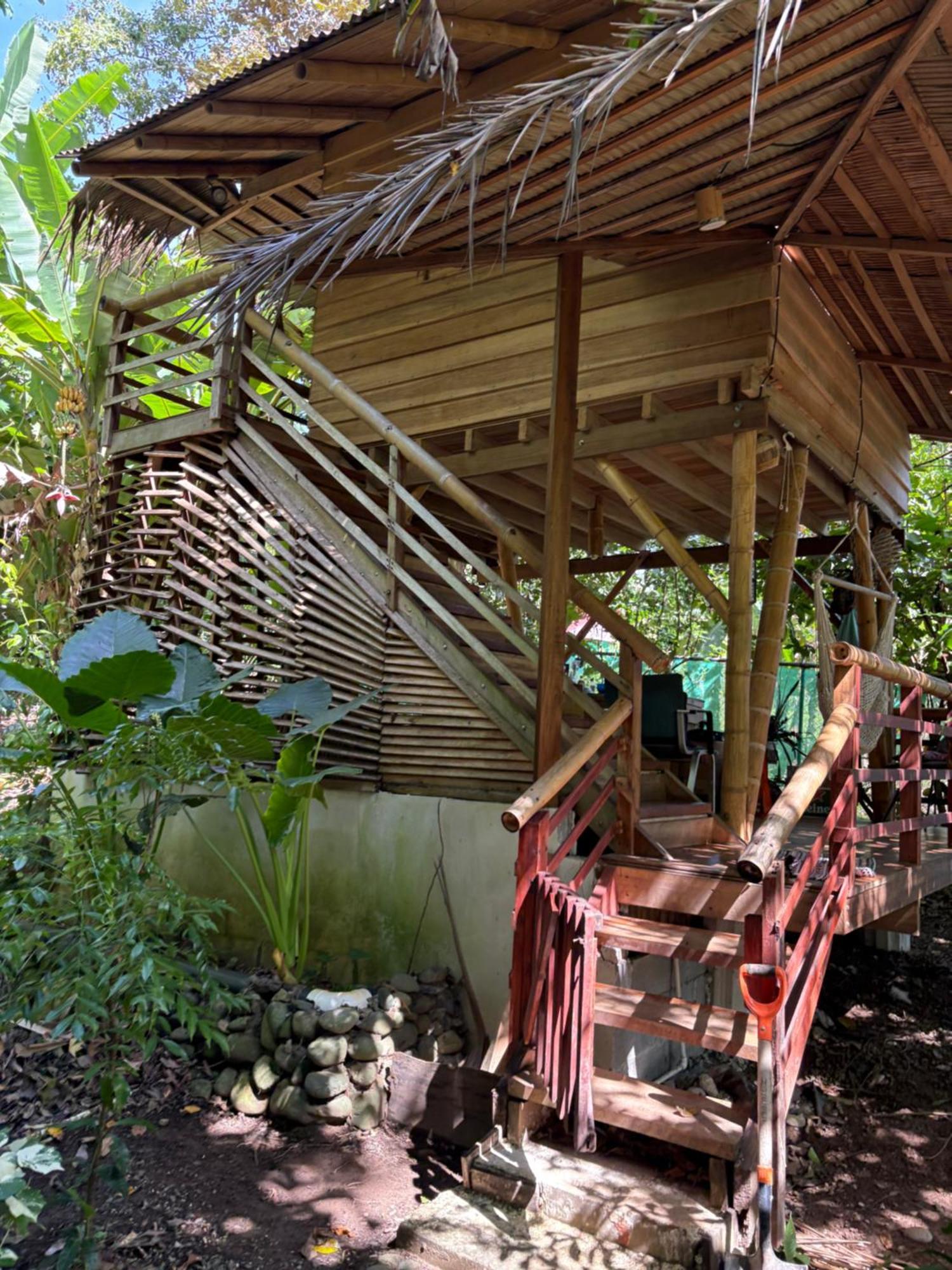 Organico Punta Riel Hotell Cahuita Exteriör bild