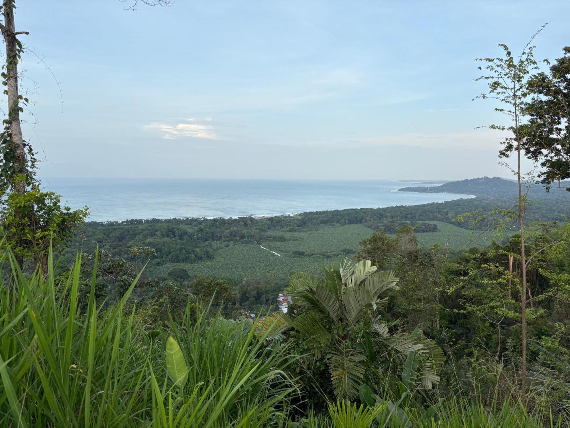 Organico Punta Riel Hotell Cahuita Exteriör bild