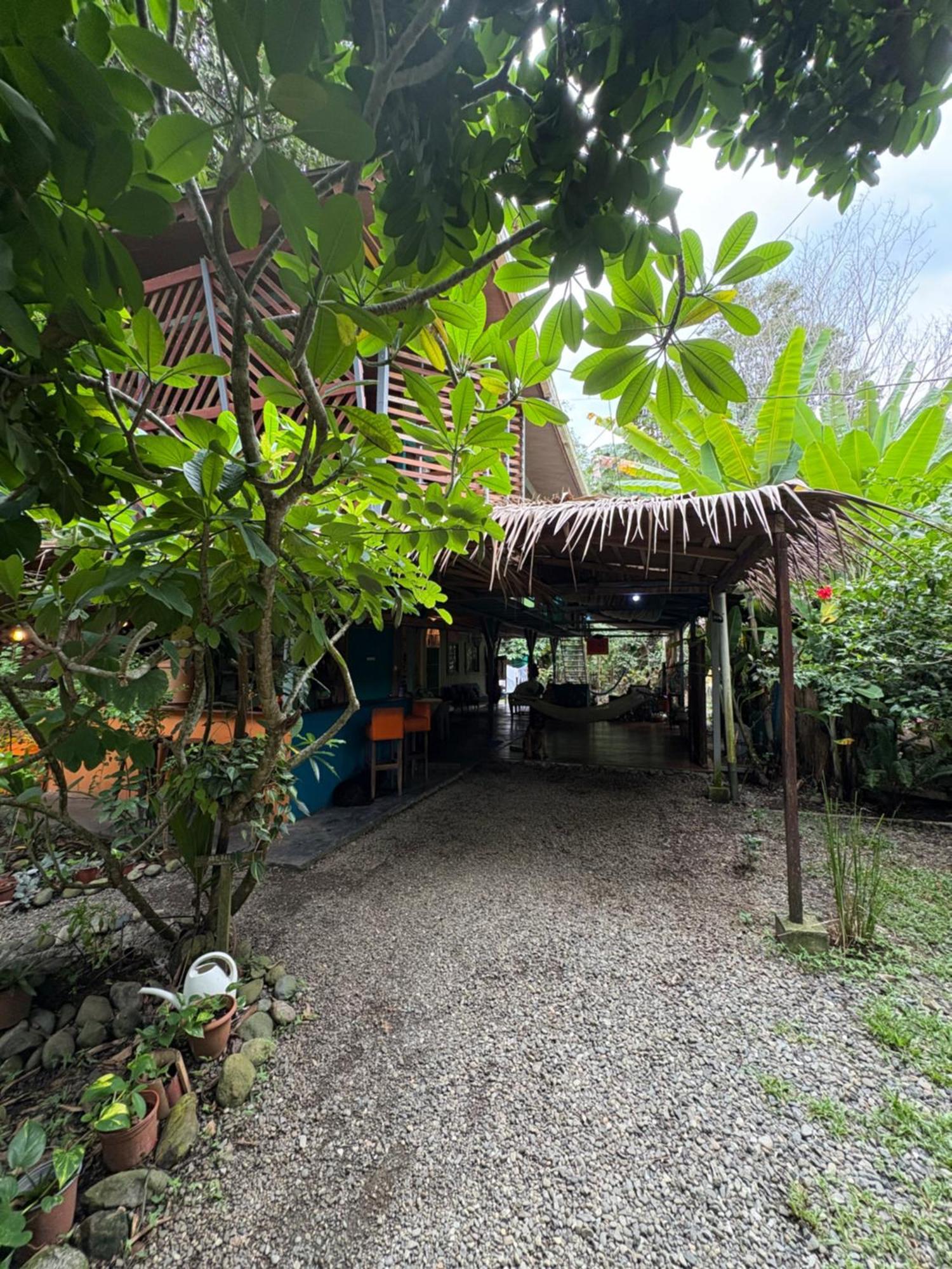 Organico Punta Riel Hotell Cahuita Exteriör bild