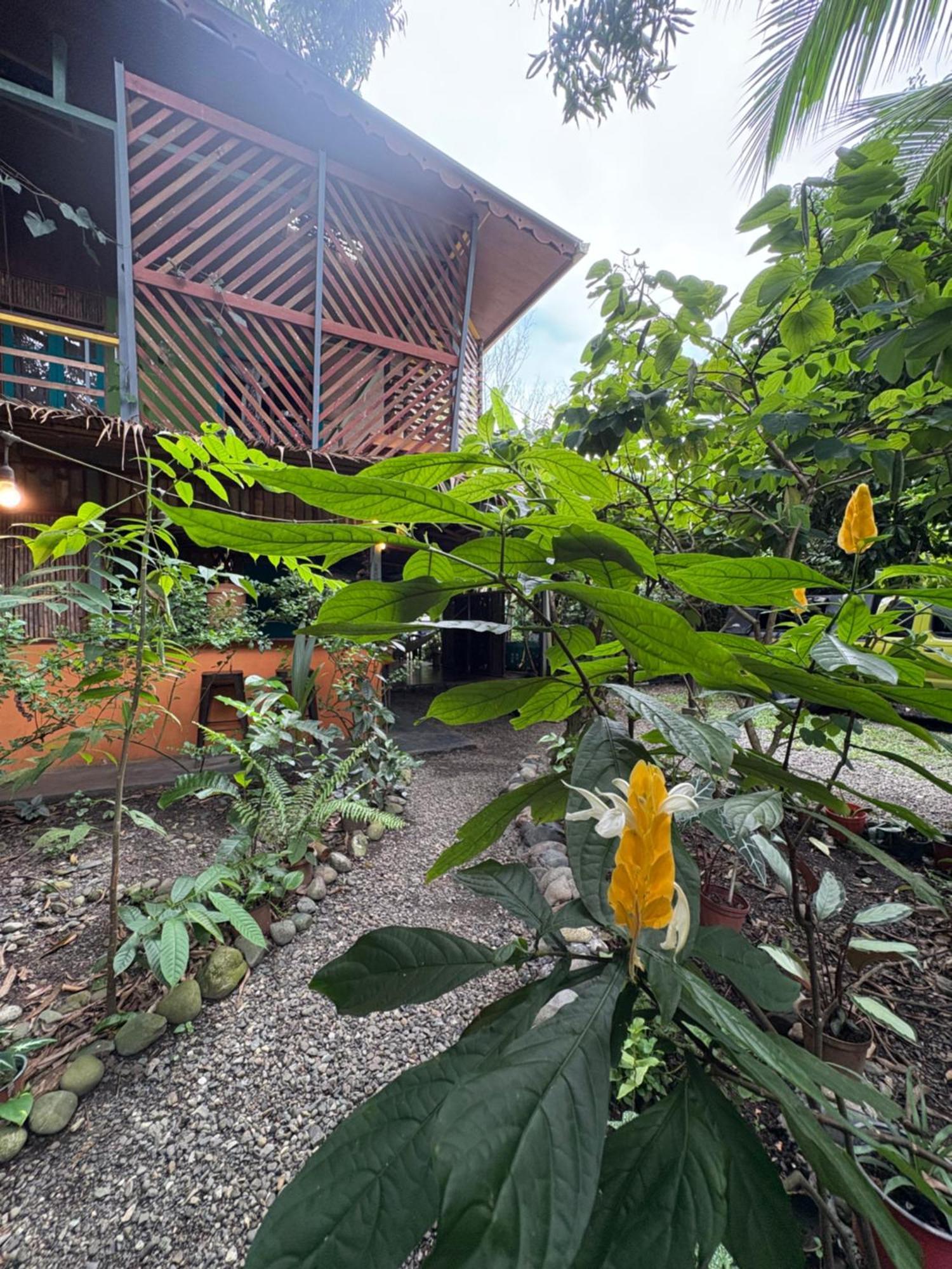 Organico Punta Riel Hotell Cahuita Exteriör bild