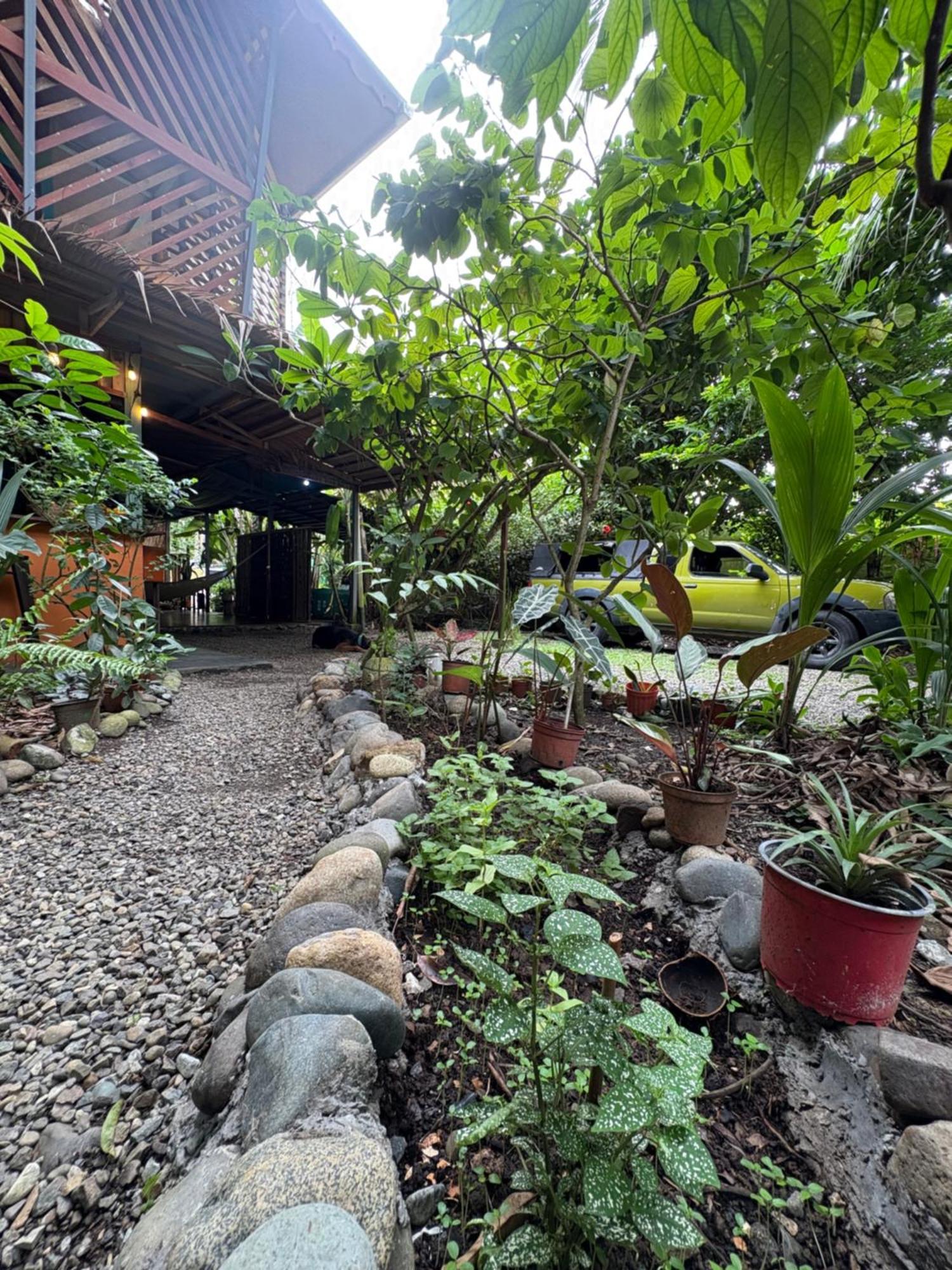 Organico Punta Riel Hotell Cahuita Exteriör bild